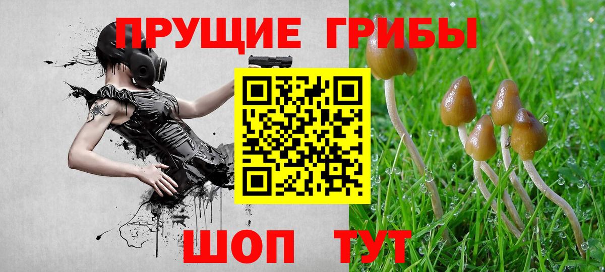 Псилоцибиновые грибы ЛСД Ахтубинск