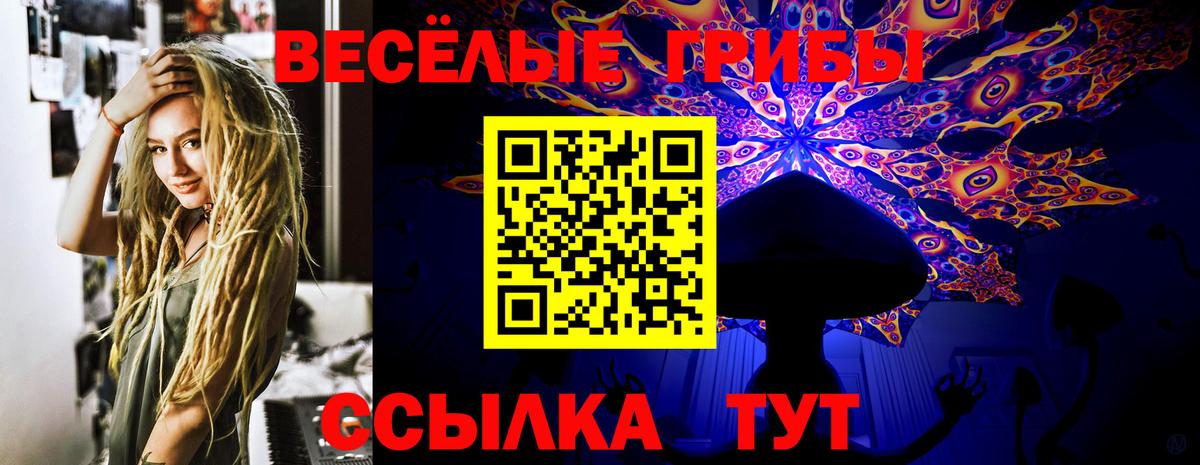 Ахтубинск  Псилоцибиновые грибы Magic Shrooms  Вход с VPN 